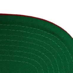 Mitchell & Ness Snapback-Paintbrush Snapback San Francisco 49Ers