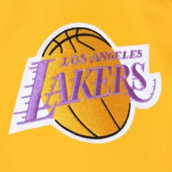 Men Mitchell & Ness Pants-Paintbrush Warmup Pant Los Angeles Lakers