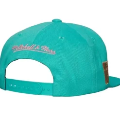 Mitchell & Ness Snapback-Pastel Snapback Hwc Vancouver Grizzlies