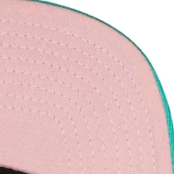 Mitchell & Ness Snapback-Pastel Snapback Hwc Vancouver Grizzlies
