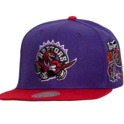 Mitchell & Ness Snapback-Patch Overload Snapback Hwc Toronto Raptors