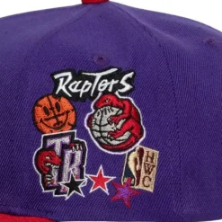 Mitchell & Ness Snapback-Patch Overload Snapback Hwc Toronto Raptors