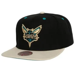 Mitchell & Ness Snapback-Pin Drop Snapback Charlotte Hornets