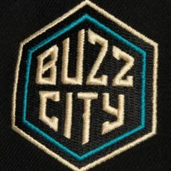 Mitchell & Ness Snapback-Pin Drop Snapback Charlotte Hornets