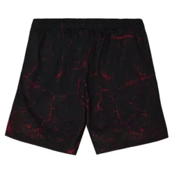 Men Mitchell & Ness Shorts-Player Burst Mesh Shorts Chicago Bulls Dennis Rodman