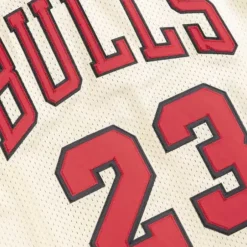 Mitchell & Ness Nba Authentic-Premium Gold Jersey Chicago Bulls 1995-96 Michael Jordan