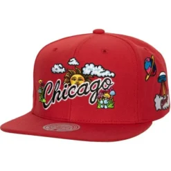 Mitchell & Ness Snapback-Psychedelic Snapback Hwc Chicago Bulls