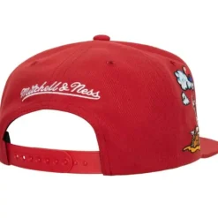 Mitchell & Ness Snapback-Psychedelic Snapback Hwc Chicago Bulls