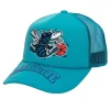Mitchell & Ness Snapback-Puff The Magic Trucker Snapback Hwc Charlotte Hornets