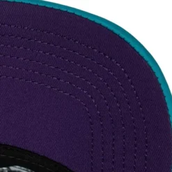 Mitchell & Ness Snapback-Puff The Magic Trucker Snapback Hwc Charlotte Hornets
