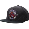 Mitchell & Ness Snapback-Quilted Taslan Snapback Hwc Toronto Raptors