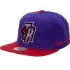 Mitchell & Ness Snapback-Rear Script Deadstock Snapback Hwc Toronto Raptors