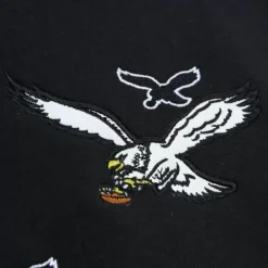 Men Mitchell & Ness Hoodies & Sweatshirts-Repeat Hoodie Philadelphia Eagles
