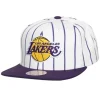 Mitchell & Ness Snapback-Retro Pinstripe Snapback Los Angeles Lakers