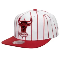 Mitchell & Ness Snapback-Retro Pinstripe Snapback Hwc Chicago Bulls