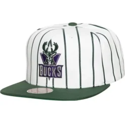 Mitchell & Ness Snapback-Retro Pinstripe Snapback Hwc Milwaukee Bucks