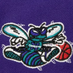 Mitchell & Ness Snapback-Retro Sport Snapback Hwc Charlotte Hornets