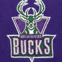 Mitchell & Ness Snapback-Retro Sport Snapback Hwc Milwaukee Bucks