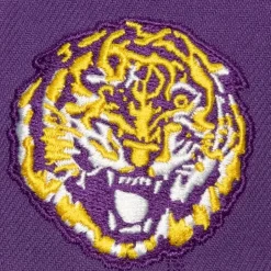 Mitchell & Ness Snapback-Retro Sport Snapback Vntg University Of Alabama