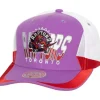 Mitchell & Ness Snapback-Retrodome Pro Snapback Hwc Toronto Raptors