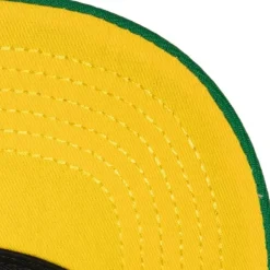 Mitchell & Ness Snapback-Retrodome Pro Snapback Vntg Minnesota North Stars
