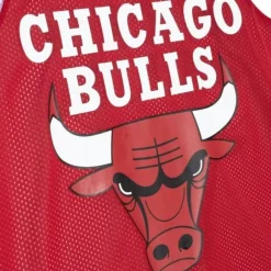 Men Mitchell & Ness T-Shirts & Tops-Reversible Mesh Tank Chicago Bulls