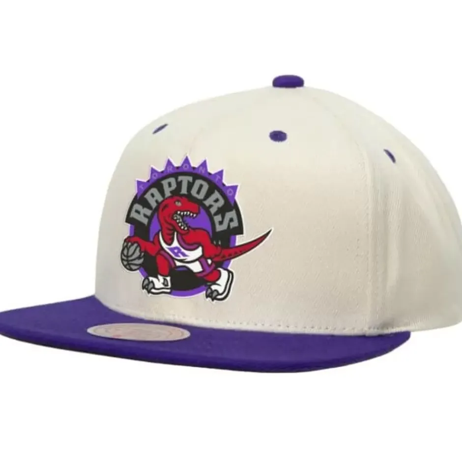 Mitchell & Ness Snapback-Sail 2 Tone Snapback Hwc Toronto Raptors