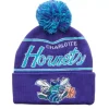 Mitchell & Ness Knit-Script Pom Beanie Hwc Charlotte Hornets