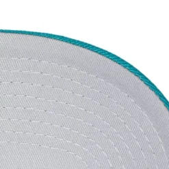 Mitchell & Ness Snapback-Secondary Roses Pro Snapback Hwc Charlotte Hornets