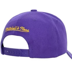 Mitchell & Ness Snapback-Secondary Roses Pro Snapback Los Angeles Lakers
