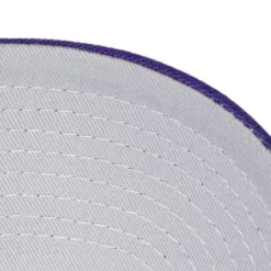 Mitchell & Ness Snapback-Secondary Roses Pro Snapback Los Angeles Lakers