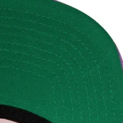 Mitchell & Ness Snapback-Sharktooth Snapback Hwc Toronto Raptors