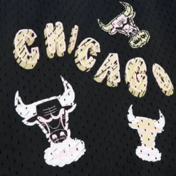 Men Mitchell & Ness Shorts-Sidewalk Sketch Shorts Hwc Chicago Bulls