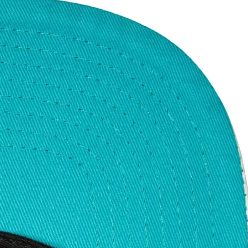 Mitchell & Ness Snapback-Ssbsts Snapback Hwc Charlotte Hornets
