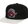 Mitchell & Ness Snapback-Ssbsts Snapback Hwc Toronto Raptors