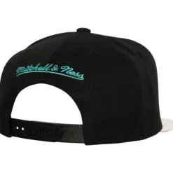 Mitchell & Ness Snapback-Ssbsts Snapback Hwc Vancouver Grizzlies