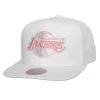 Mitchell & Ness Snapback-Summer Suede Snapback Los Angeles Lakers