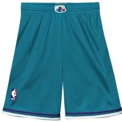 Youth Mitchell & Ness Big Kids-Swingman Charlotte Hornets Road Shorts