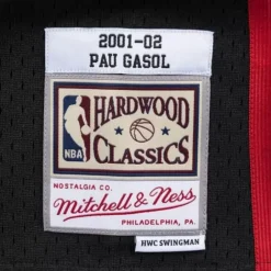 Mitchell & Ness Nba Swingman-Swingman Jersey Memphis Grizzlies 2001-02 Pau Gasol
