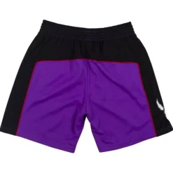 Mitchell & Ness Nba Swingman-Swingman Shorts Toronto Raptors 1999-00