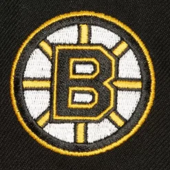 Mitchell & Ness Snapback-Tailsweep 2.0 Pro Snapback Boston Bruins