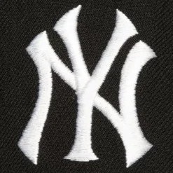 Mitchell & Ness Snapback-Tailsweep 2.0 Pro Snapback New York Yankees