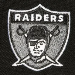 Mitchell & Ness Snapback-Tailsweep 2.0 Pro Snapback Oakland Raiders