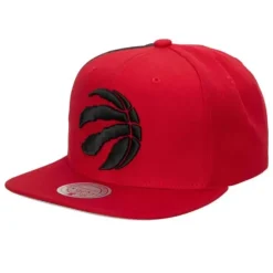Mitchell & Ness Snapback-Tapestry Snapback Toronto Raptors