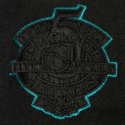 Mitchell & Ness Snapback-Tc Bottoms Snapback Hwc Charlotte Hornets