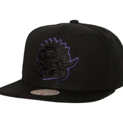 Mitchell & Ness Snapback-Tc Bottoms Snapback Hwc Toronto Raptors
