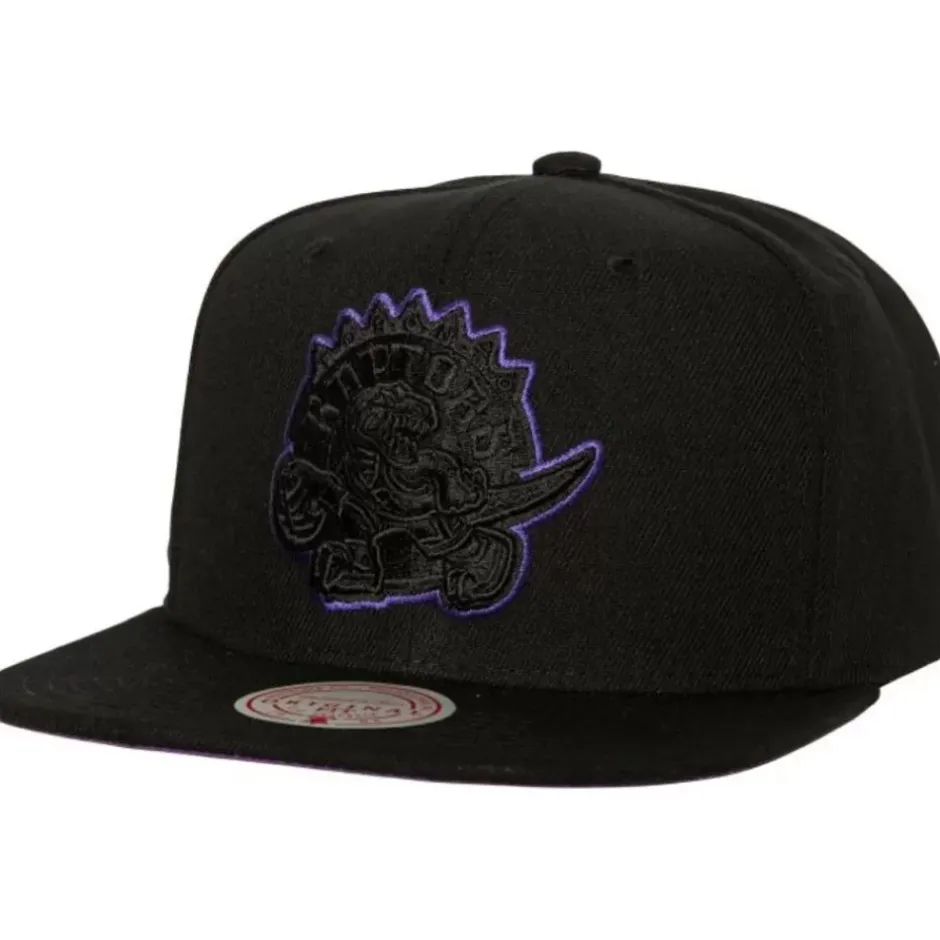 Mitchell & Ness Snapback-Tc Bottoms Snapback Hwc Toronto Raptors