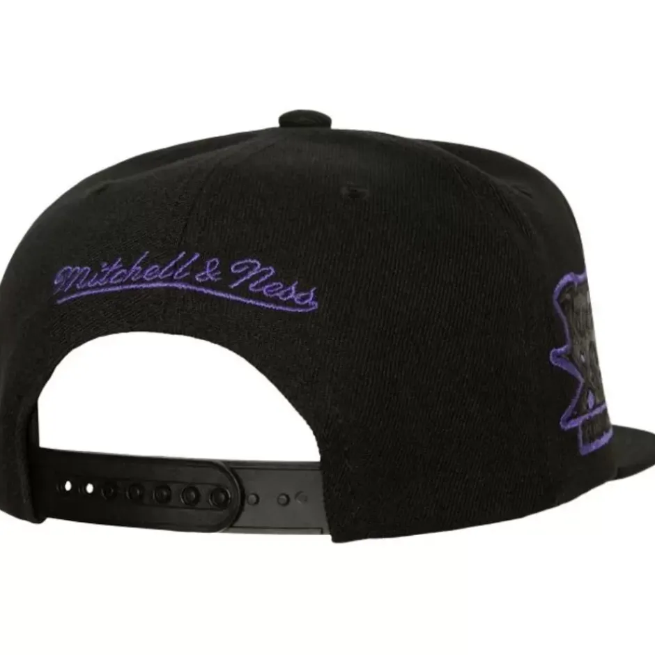 Mitchell & Ness Snapback-Tc Bottoms Snapback Hwc Toronto Raptors
