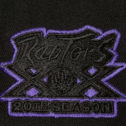 Mitchell & Ness Snapback-Tc Bottoms Snapback Hwc Toronto Raptors