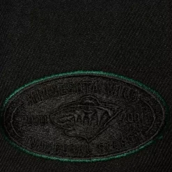 Mitchell & Ness Snapback-Tc Bottoms Snapback Minnesota Wild